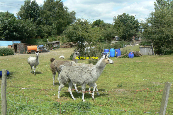 Photo 6"x4" Spitting image Bestwood Village c2010