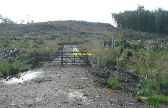 Photo 6"x4" Clear felling at Drumfork Blacklunans c2010