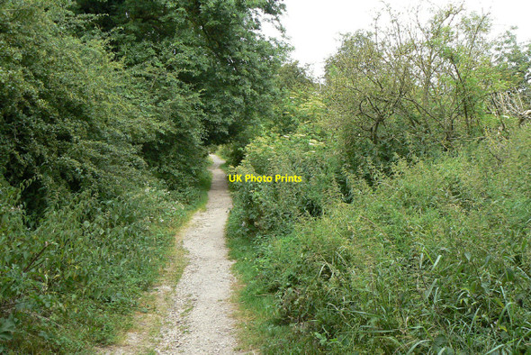 Photo 6"x4" Killisick Lane Arnold\/SK5945 c2010