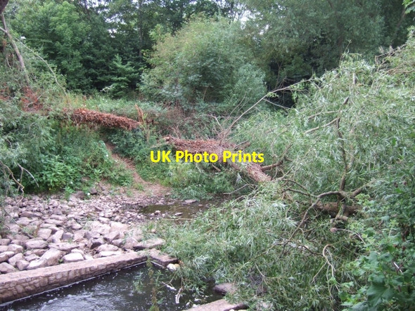 Photo 6"x4" Fallen tree in mill leat Exeter c2010