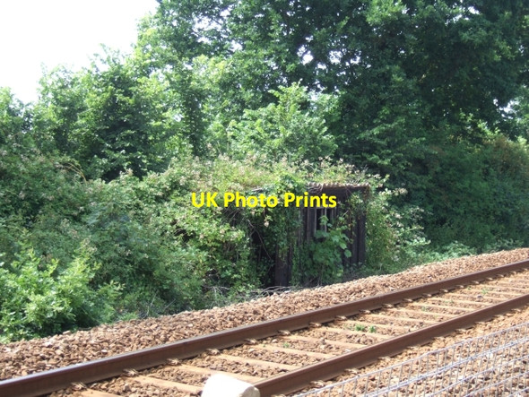 Photo 6"x4" Overgrown railside hut, Lympstone Exton\/SX9886 c2010