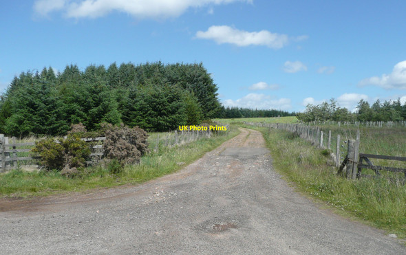 Photo 6"x4" Track to Scruschloch Freuchies c2010