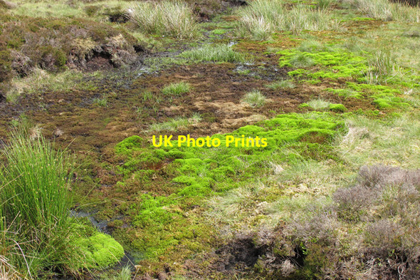 Photo 6"x4" Blanket Bog on Mere Clough Head Sykes\/SD6351 c2010