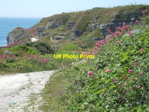 Photo 6"x4" South West Coast Path entering disused quarries,  Freshwater Bay, Portland Easton\/SY6971 c2010