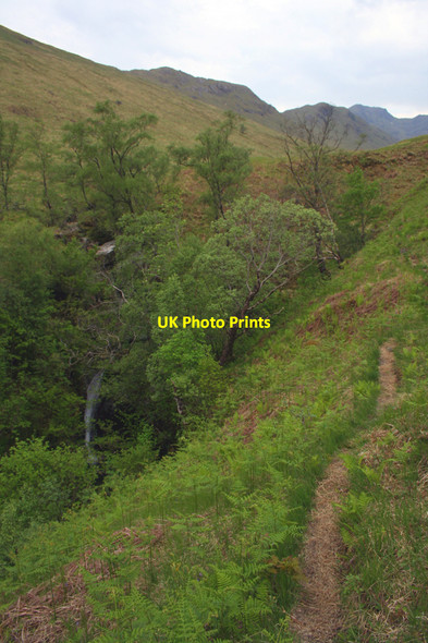 Photo 6"x4" Gorge in lower Glen Cuirnean Allt Cu\u00ecrnean c2010