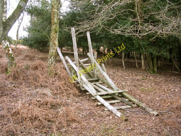 Photo 6"x4" Collapsed deer stalking seat, Ocknell Inclosure, New Forest Stoney Cross c2006