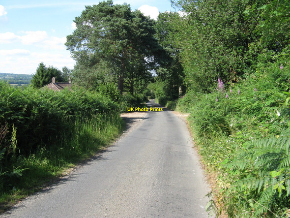 Photo 6"x4" Howbourne Lane towards Howbourne Farm Potter's Green\/TQ5023 c2010