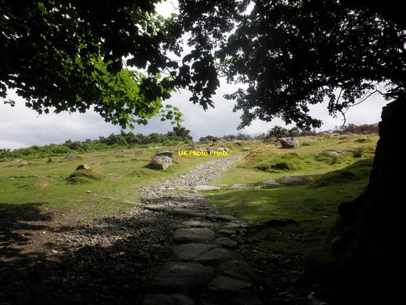 Photo 6"x4" Path to Belstone Common Skaigh c2010