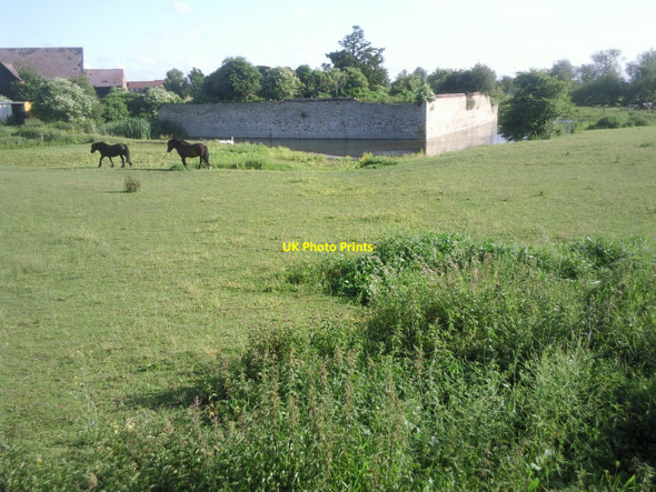 Photo 6"x4" Horses at Howbury Crayford\/TQ5174 c2010