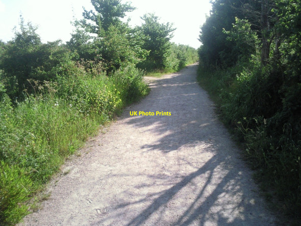 Photo 6"x4" Moat Lane on a summer's morning Crayford\/TQ5174 c2010