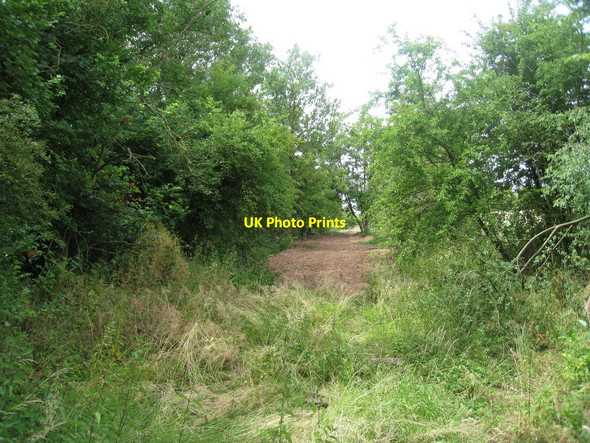 Photo 6"x4" Footpath to Rundlesshill Bulley c2010