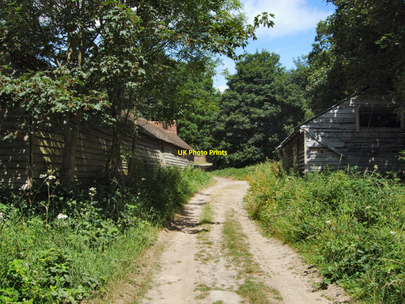 Photo 6"x4" Roman Road near River's wood Ardingly c2010