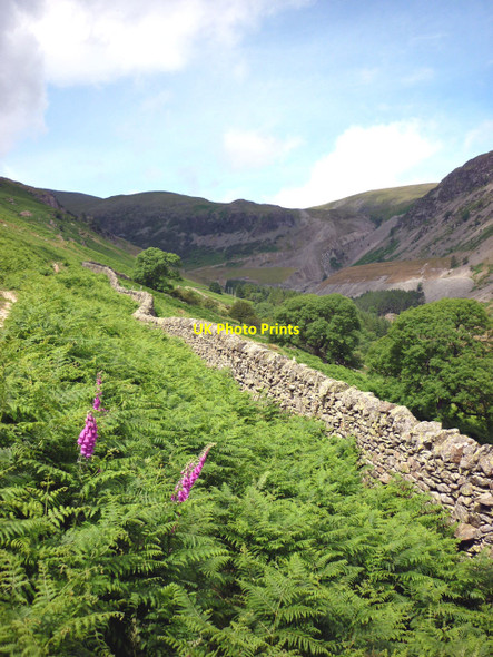 Photo 6"x4" Wall and bracken, Glenridding Glenridding c2010
