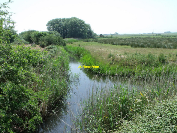 Photo 6"x4" Drainage ditch west of Hooe, East Sussex Hall's Close c2010