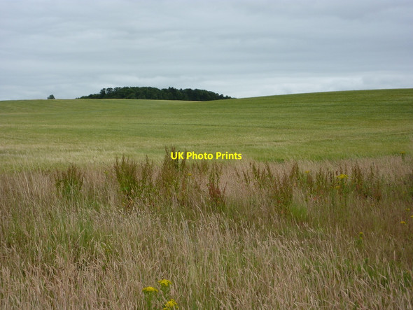 Photo 6"x4" Open fields between Ordsall and Eaton Retford c2010