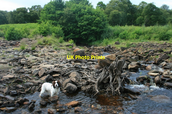 Photo 6"x4" An unnamed burn or Allt enters Loch Shin Tirryside c2010