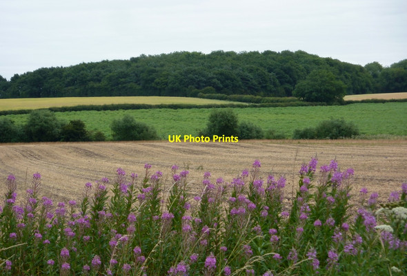 Photo 6"x4" Summer view from Old London Road Elkesley c2010