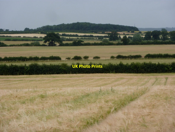 Photo 6"x4" Countryside with fields and hedges Retford c2010