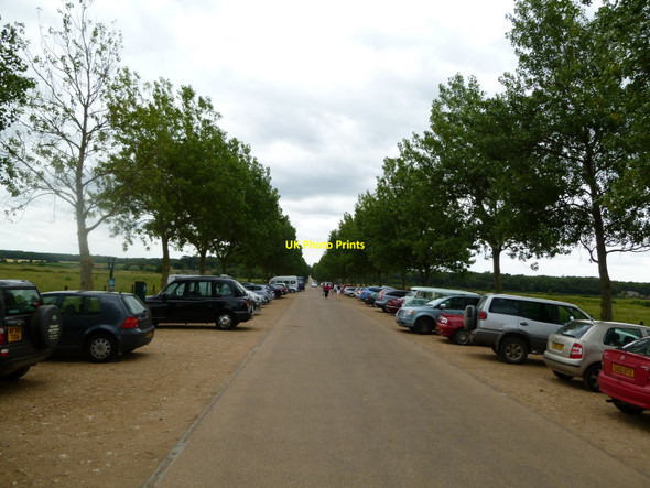 Photo 6"x4" Holkham: Lady Ann's Drive, looking south Wells-Next-The-Sea c2010