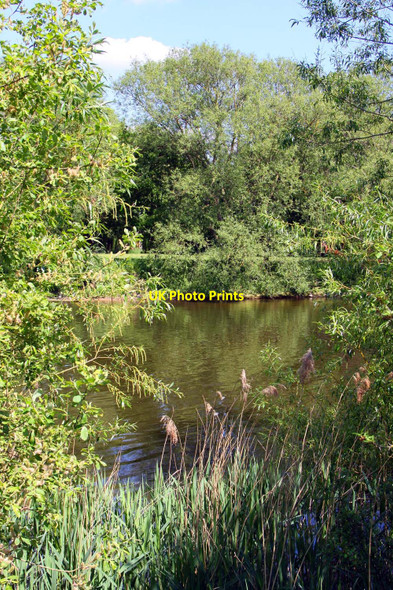 Photo 6"x4" The Thames at Preston Crowmarsh Wallingford c2010