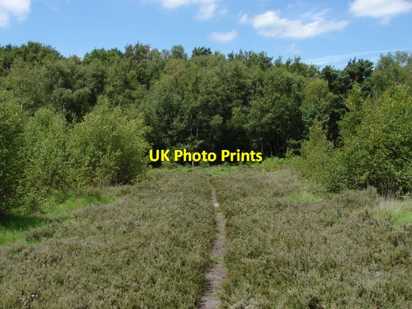Photo 6"x4" West End Common Lucas Green\/SU9459 c2010