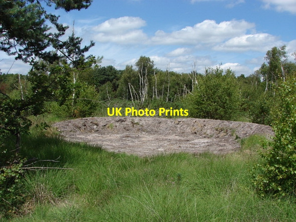 Photo 6"x4" Bee bank, West End Common Donkey Town c2010
