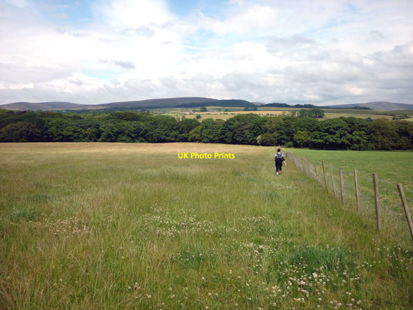 Photo 6"x4" The path from Sullom Side to Calder Vale Calder Vale c2010