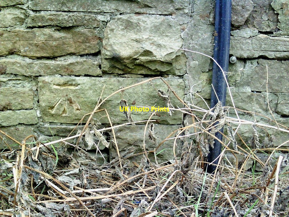 Photo 6"x4" Benchmark on outbuilding at Browna Paddocks Burtersett c2010