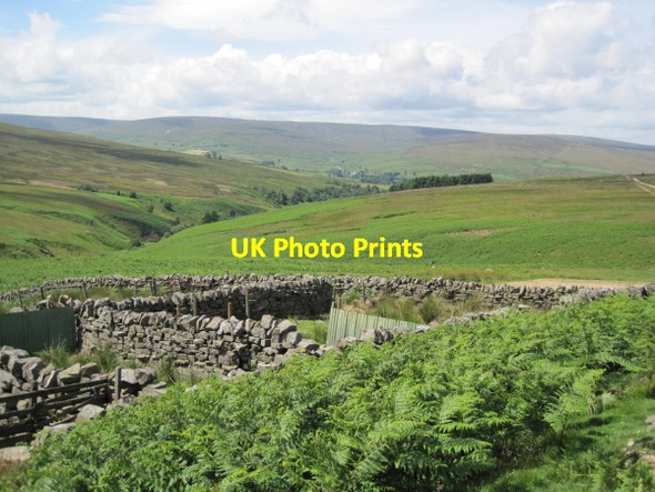 Photo 6"x4" Sheep Pens, Snope Common Eals\/NY6755 c2010