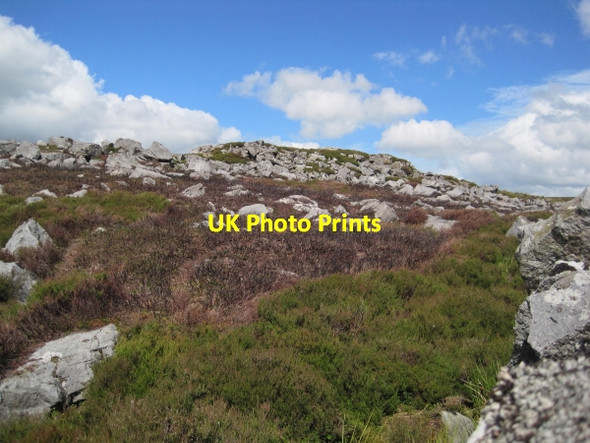 Photo 6"x4" Peas Crag Eals\/NY6755 c2010