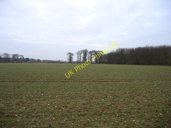 Photo 6"x4" Good Friday Plantation, East Raynham, Norfolk East Raynham c2006