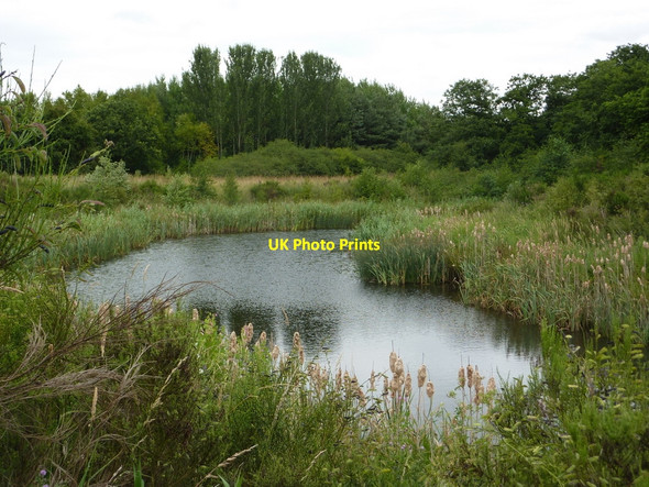 Photo 6"x4" Little lake by footpath Sutton Cum Lound c2010