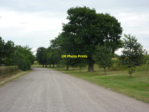 Photo 6"x4" Byway towards wildfowl reserve and Sutton Grange Lound\/SK6986 c2010