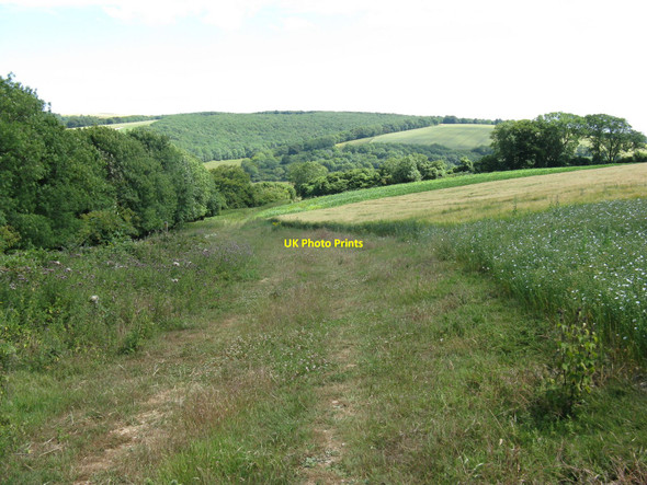 Photo 6"x4" Path descending to Upwaltham Upwaltham c2010