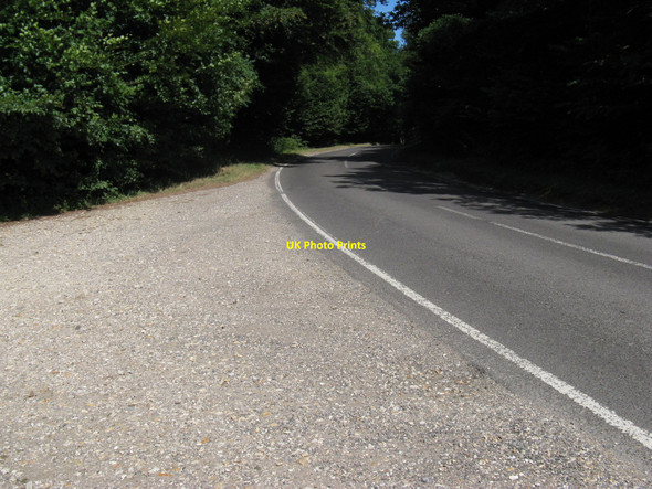 Photo 6"x4" Selhurstpark Road nearing its junction with the A285 Upwaltham c2010