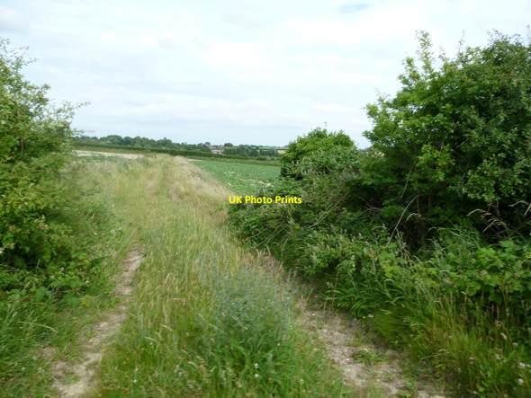 Photo 6"x4" Wighton: field track Copy's Green c2010