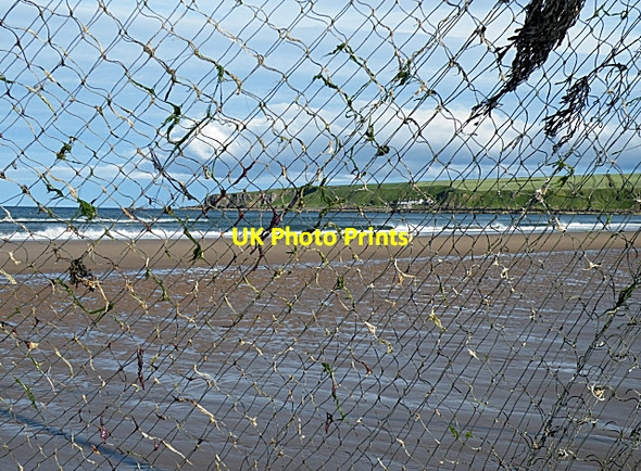 Photo 6"x4" Lunan Bay through the nets Lunan\/NO6851 c2010