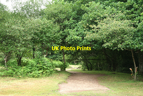 Photo 6"x4" Widecombe in the Moor: Deeper Marsh Poundsgate c2010