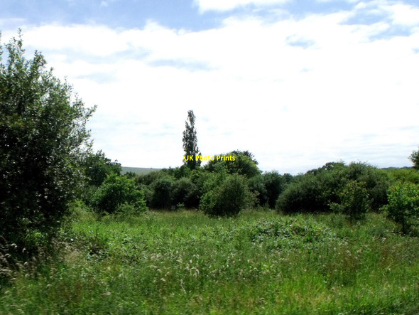 Photo 6"x4" Oreham Common, Woodmancote, West Sussex Small Dole c2010