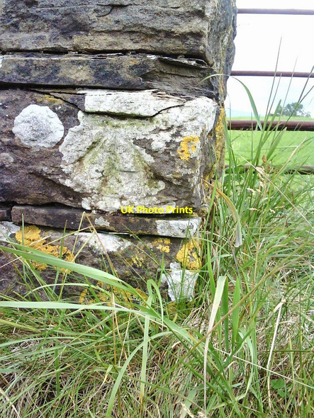 Photo 6"x4" Benchmark on New Lane wall pier Burtersett c2010