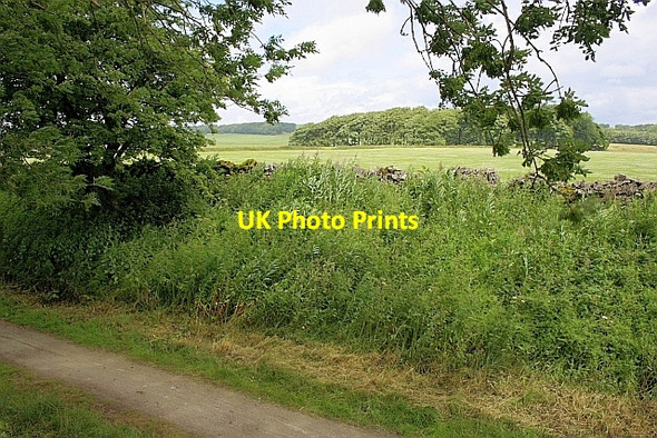 Photo 6"x4" Fields Near Friden Newhaven\/SK1660 c2010