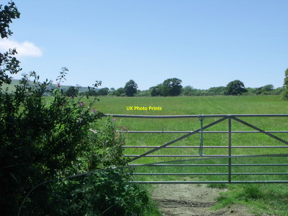Photo 6"x4" Field near entrance road to Charleston Farmhouse Selmeston c2010