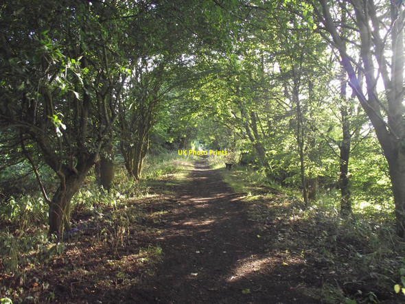 Photo 6"x4" Old Railway Line Walk Lavenham c2010