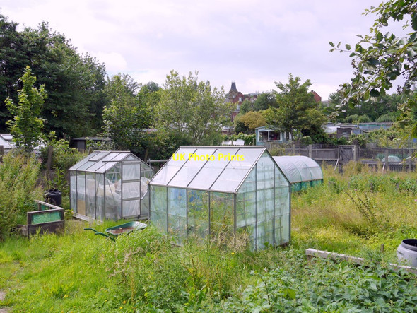 Photo 6"x4" Allotments, off William Street, Felling Newcastle upon Tyne c2010