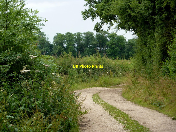 Photo 6"x4" Track south of Caddow Wood Little Gringley c2010