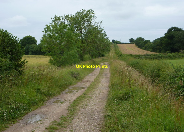 Photo 6"x4" Westwards view along the track North Leverton with Habblesthorpe c2010