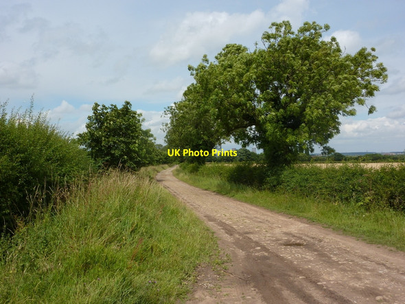 Photo 6"x4" Millfield Road, now a track South Leverton c2010