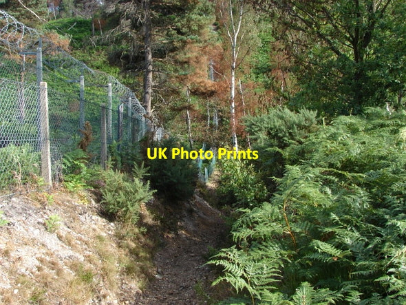 Photo 6"x4" Pirbright Ranges Deepcut c2010