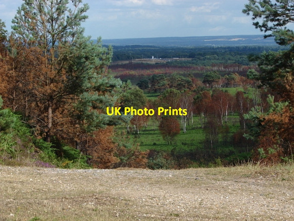 Photo 6"x4" Pirbright Ranges Deepcut c2010 P1