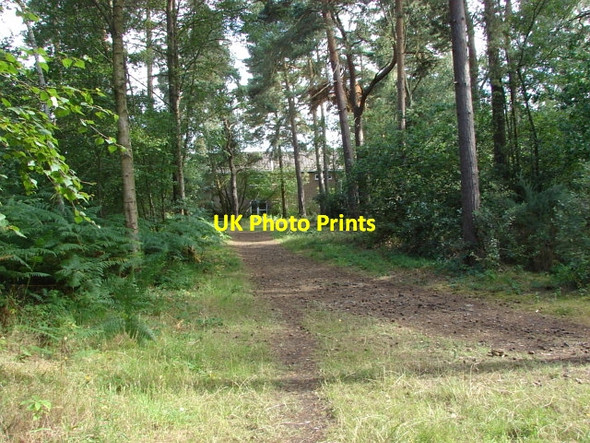 Photo 6"x4" Colony Gate Deepcut c2010